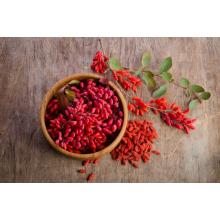 Барбарис ягоды красные сушеные, 50 гр. (Иран)